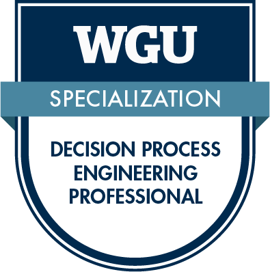 Decision Process Engineering Professional